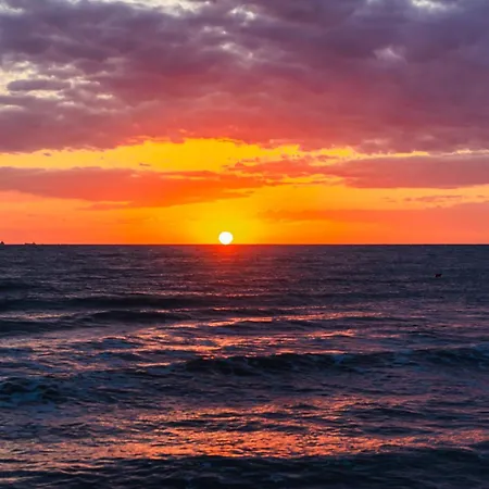 Sea La Vie * גולם